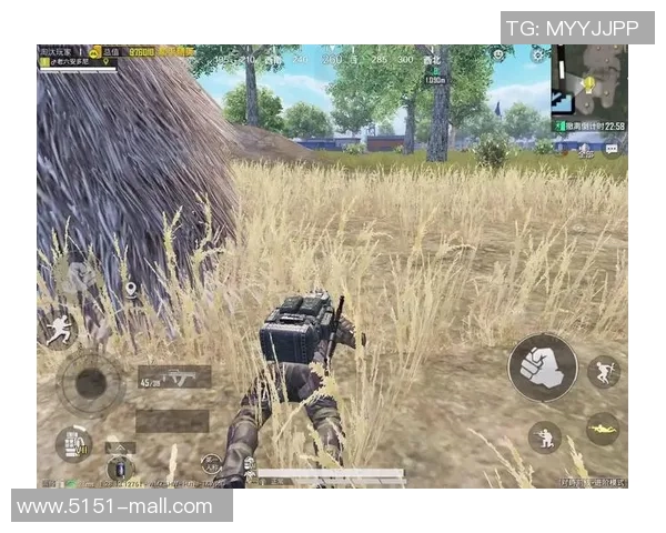 和平精英深度：解密FPX的区域防守